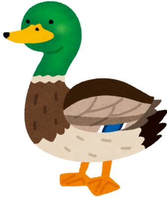 Duck's image