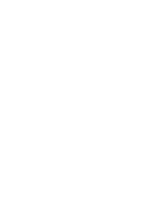 Instruments of the First Will's image