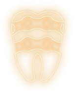 Molar Office's image