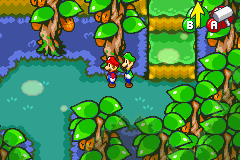Chucklehuck Woods's image
