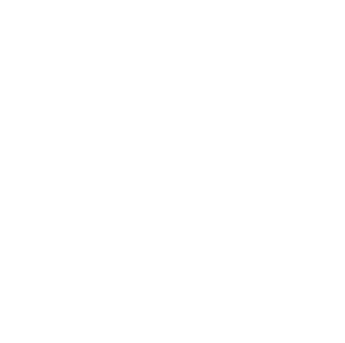 ArgoξOrchestra's image