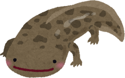Salamander's image