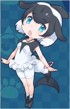 Commerson's Dolphin
