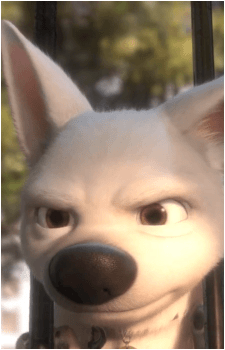 Image 17