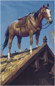 Roach