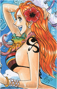 Image 48 of Nami