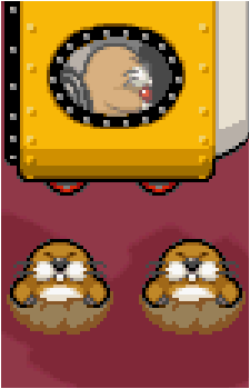 The Monty Bros.