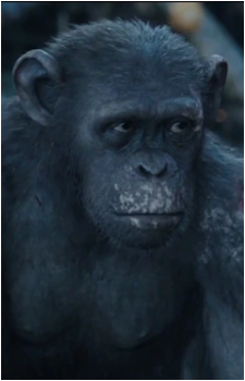 Ash {PotA}'s image