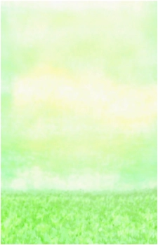 Image 23