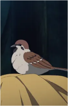 Ukogi Image
