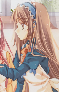 Image 3 Image 3