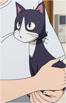 Nemu Miyao