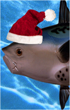 Realistic Fish Head