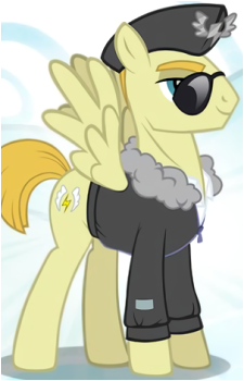 Commander Easy Glider's image