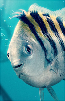 Flounder