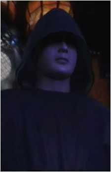 The Druid's image