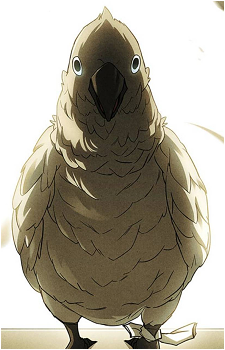 Birdie {TDA}'s image