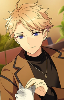 Arashi Narukami