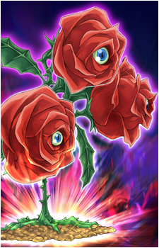 Revival Rose's image