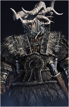 Raider's image