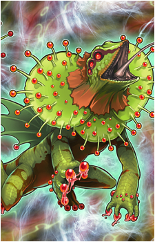 Predaplant Chlamydosundew's image