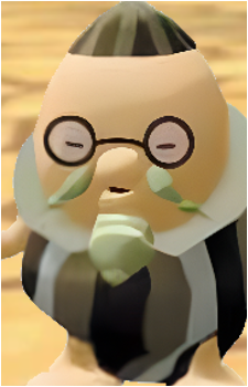 The Director of Pinna Park's image