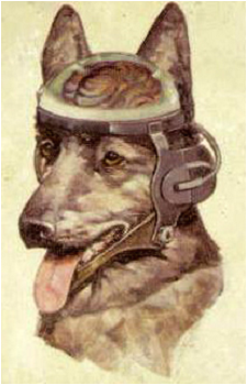 Image 3 Image 3