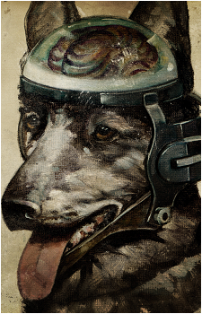 Rex's image