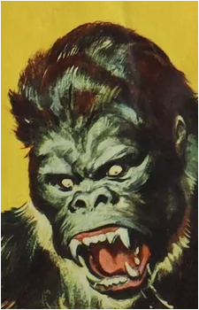 Konga's image