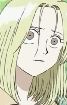 Kaya