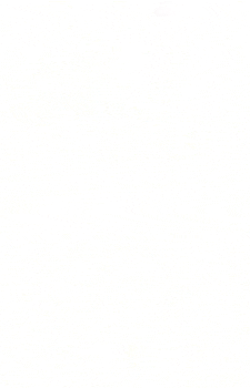 Image 16