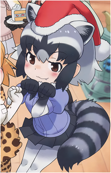 Common Raccoon