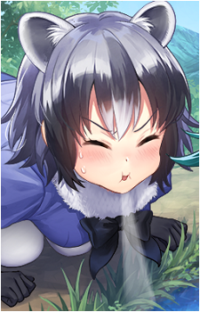 Common Raccoon