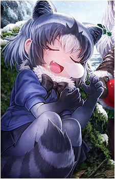 Common Raccoon