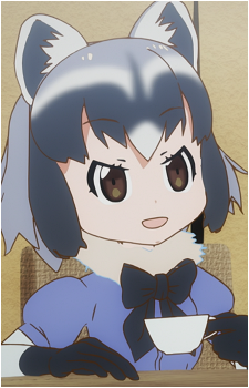 Common Raccoon