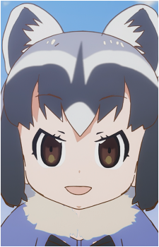 Common Raccoon