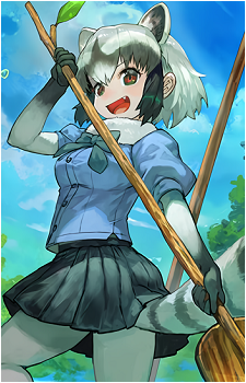 Common Raccoon