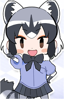 Common Raccoon