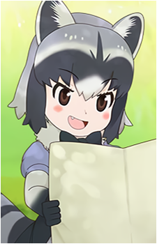 Common Raccoon