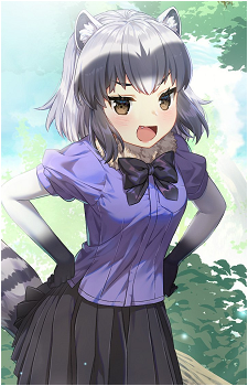 Common Raccoon