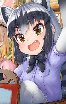 Common Raccoon