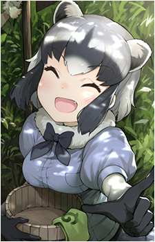 Common Raccoon
