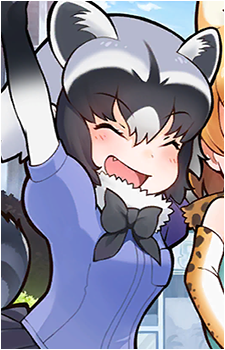 Common Raccoon