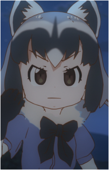 Common Raccoon