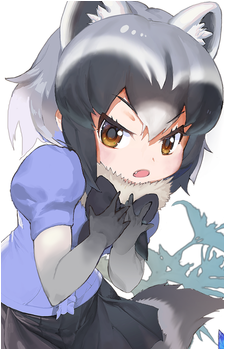 Common Raccoon