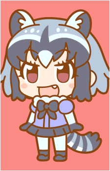 Common Raccoon