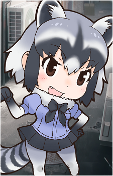Common Raccoon's image