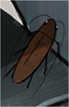 Gregor's Cockroach