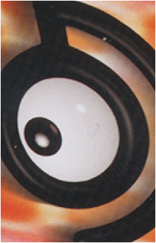 Image 31