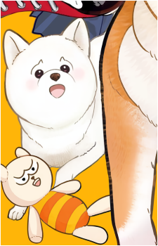 Snow {shiba}'s image